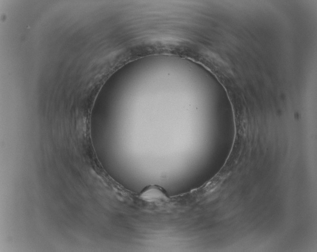 X0000067391061200604131926