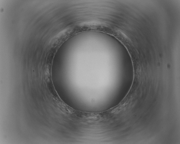 X0000067391062200604131926