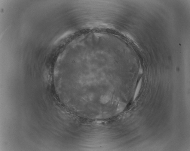 X0000067391063200604131926