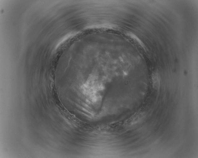 X0000067391064200604131926