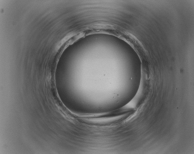 X0000067391065200604131926