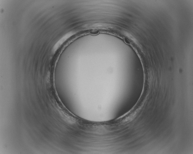 X0000067391066200604131926