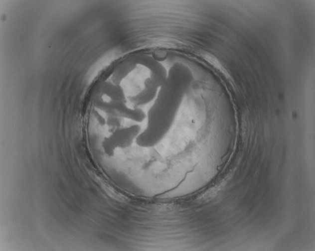 X0000067391067200604131926