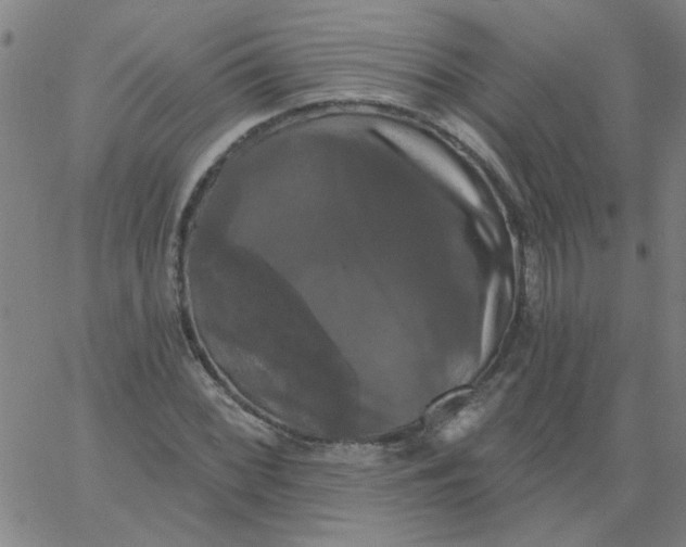 X0000067391068200604131926