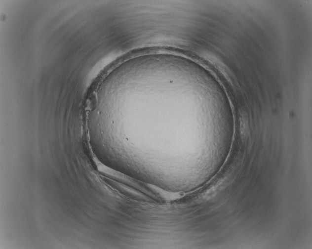 X0000067391069200604131926