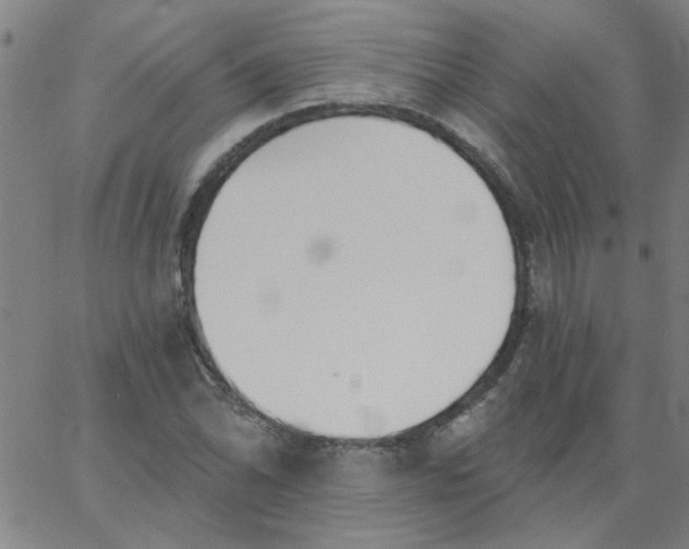 X0000067391070200604131926