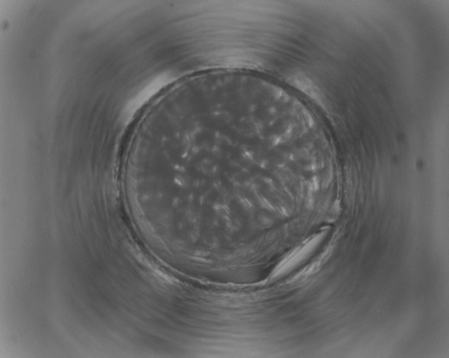 X0000067391071200604131926