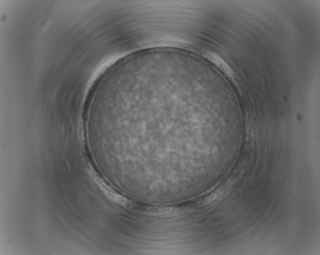 X0000067391072200604131926