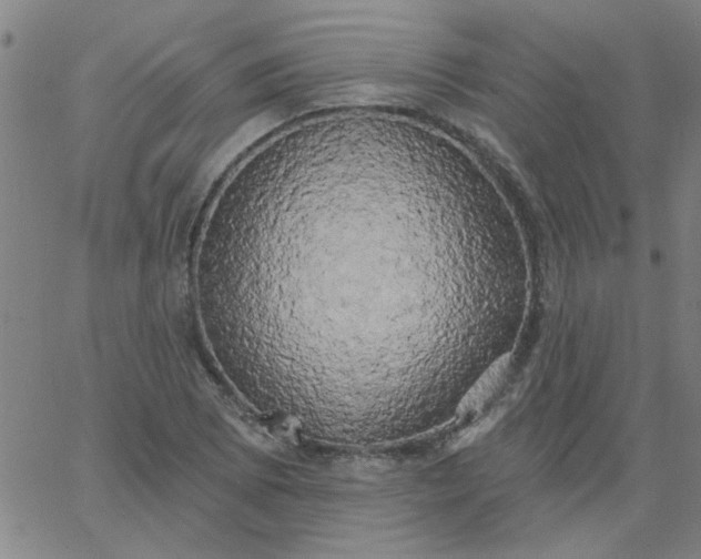 X0000067391073200604131926