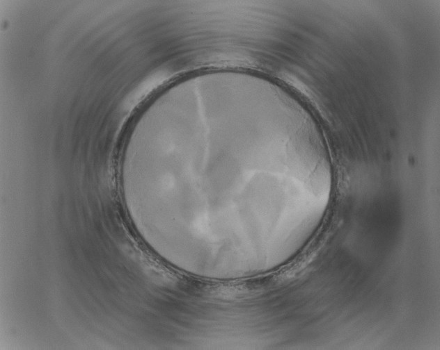 X0000067391074200604131926