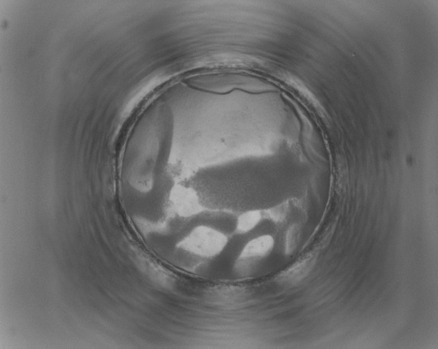 X0000067391075200604131926