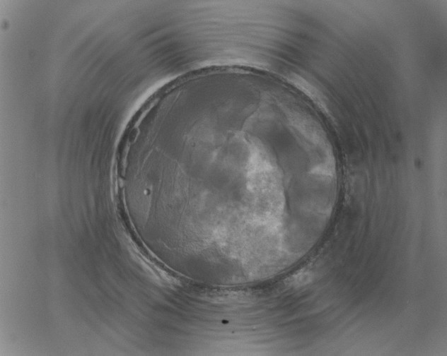 X0000067391076200604131926