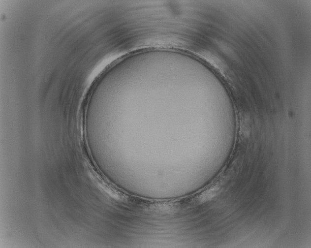 X0000067391078200604131926