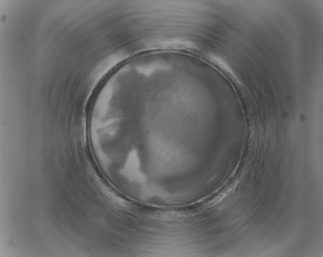 X0000067391079200604131926