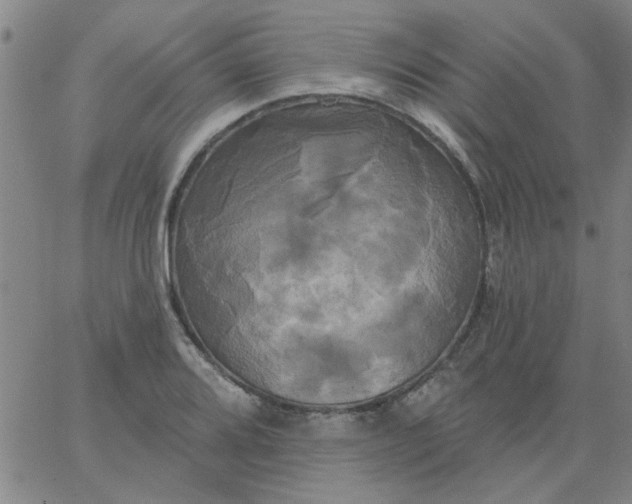 X0000067391080200604131926