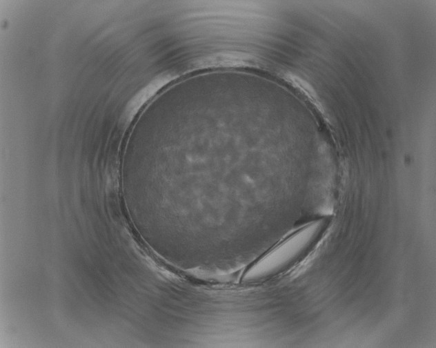 X0000067391081200604131926