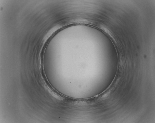 X0000067391082200604131926