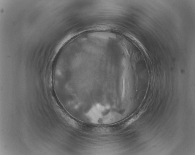 X0000067391083200604131926