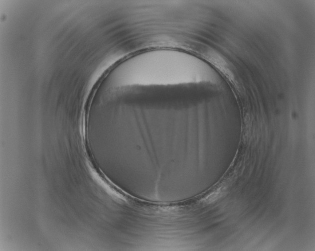 X0000067391084200604131926