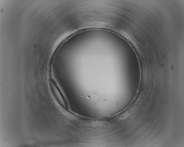 X0000067391085200604131926