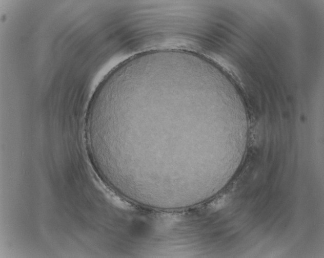 X0000067391086200604131925