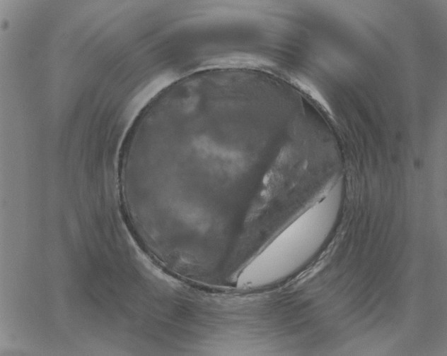 X0000067391087200604131925