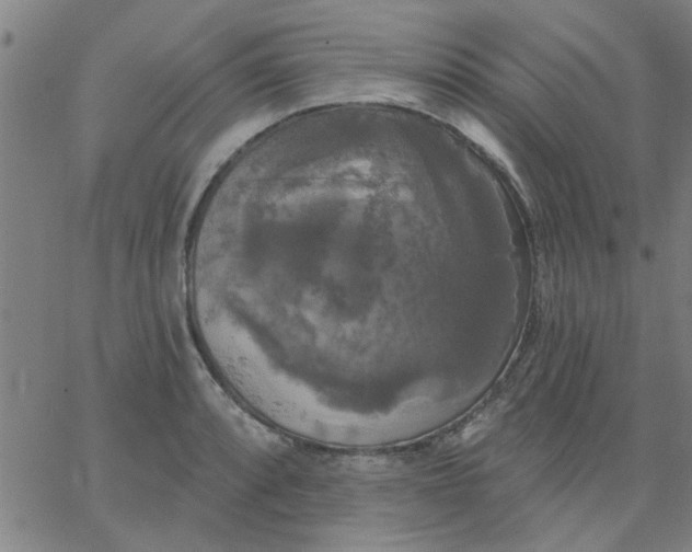 X0000067391088200604131925