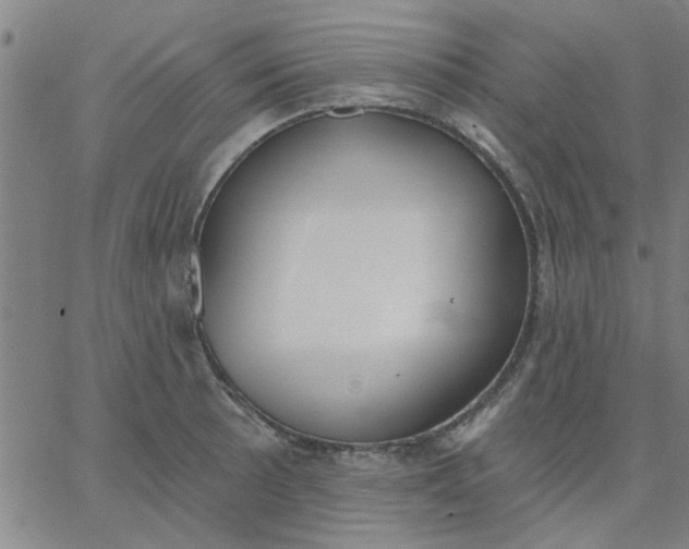 X0000067391089200604131925