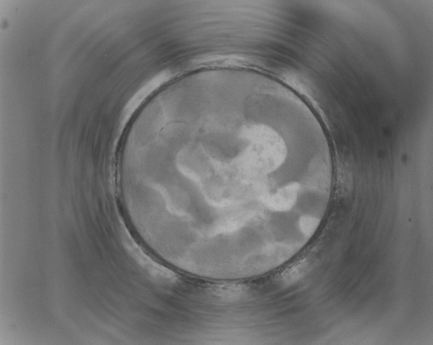 X0000067391090200604131925