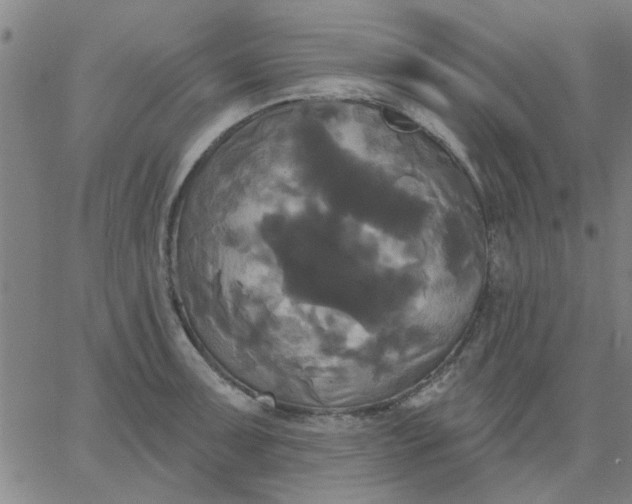 X0000067391091200604131925