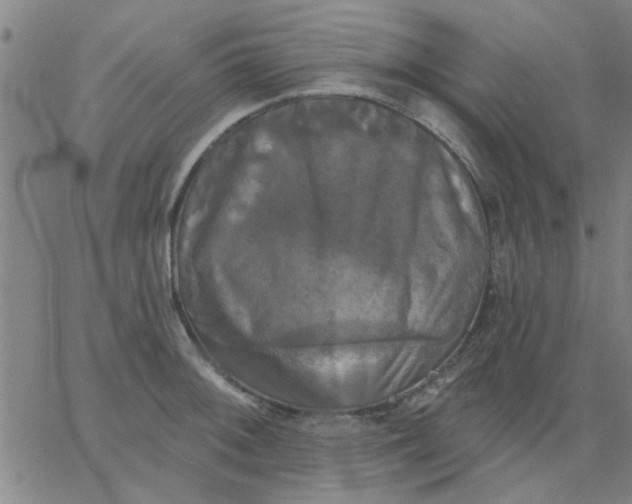 X0000067391092200604131925