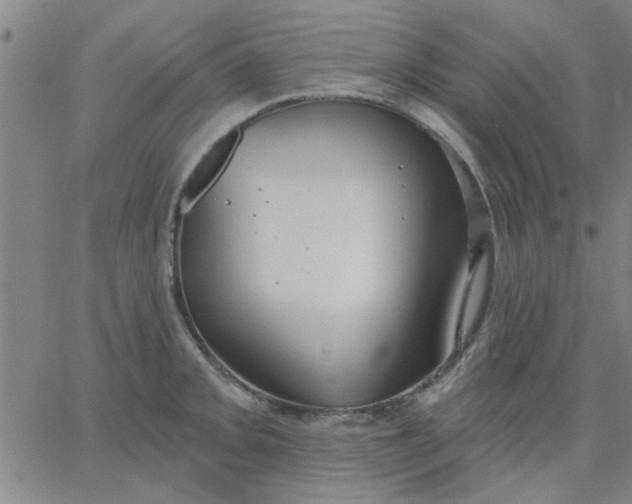 X0000067391093200604131925