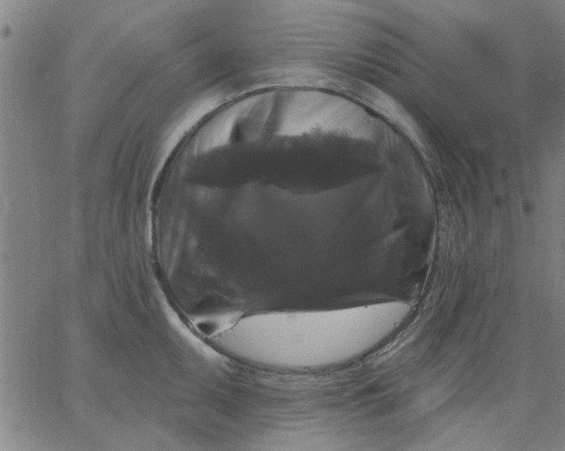 X0000067391095200604131925