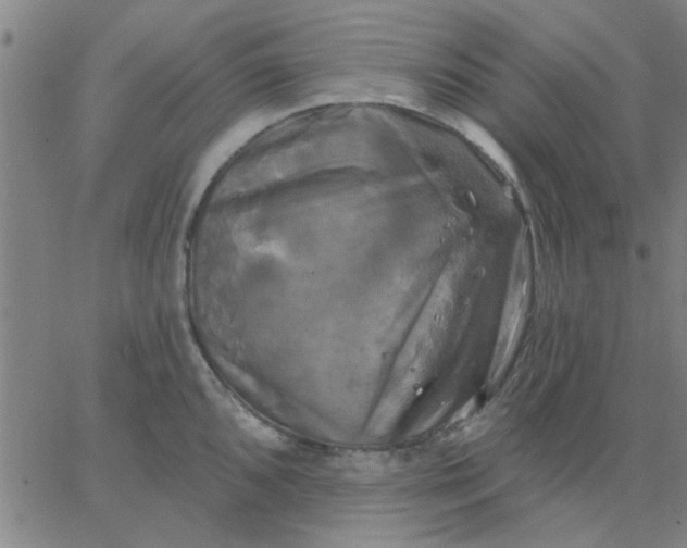 X0000067391096200604131925