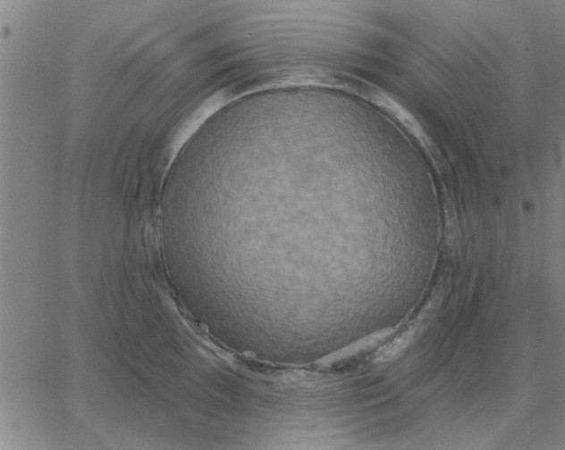 X0000067391097200604131925