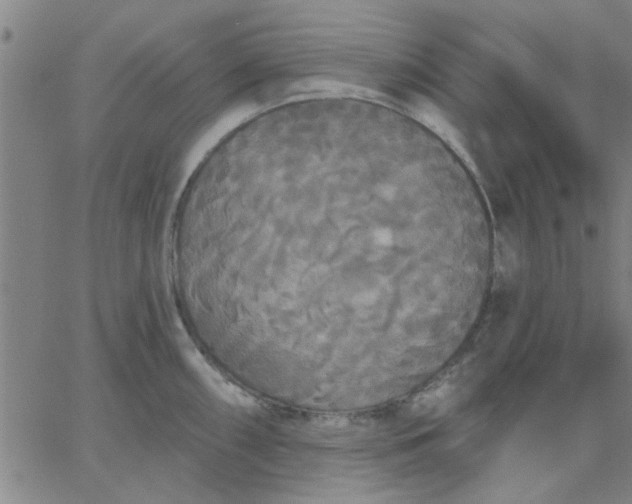 X0000067391098200604131925