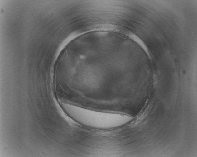 X0000067391099200604131925