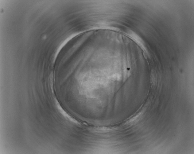 X0000067391100200604131925