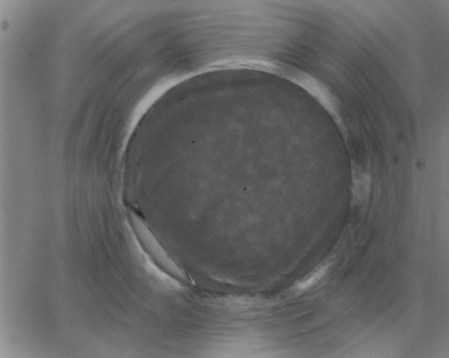 X0000067391102200604131925