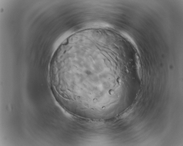 X0000067391103200604131925