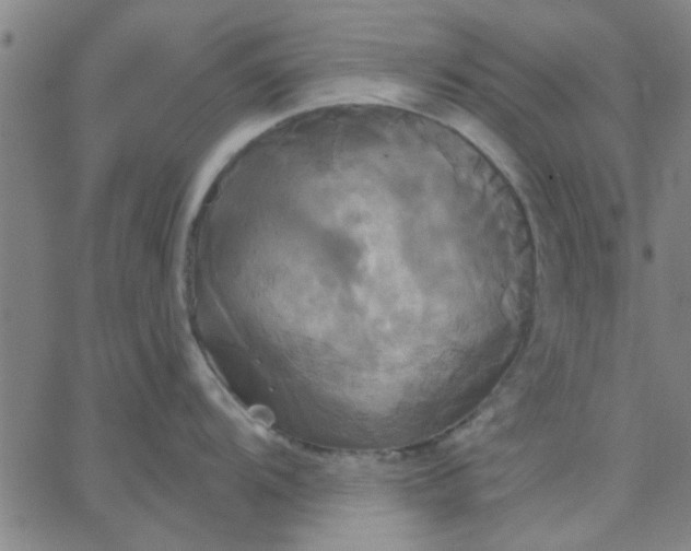 X0000067391104200604131925