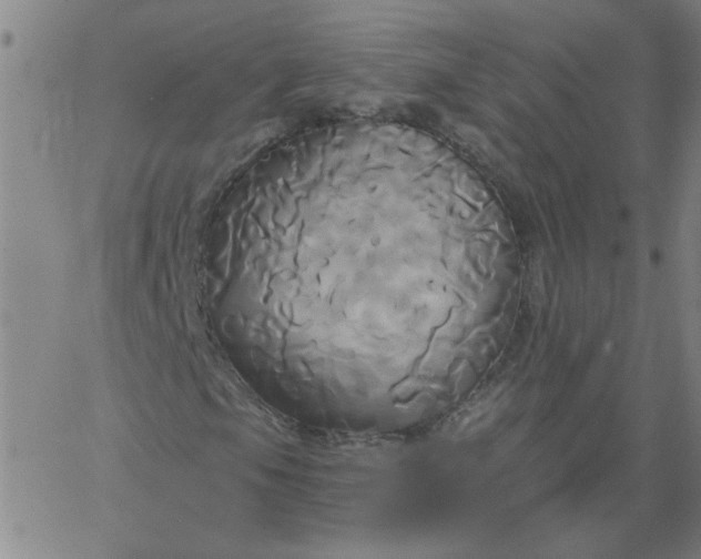 X0000067391105200604131924