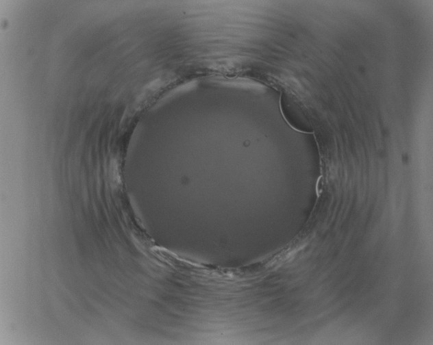 X0000067391106200604131924