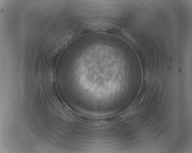 X0000067391108200604131924