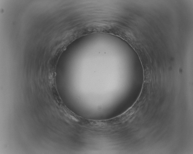 X0000067391109200604131924