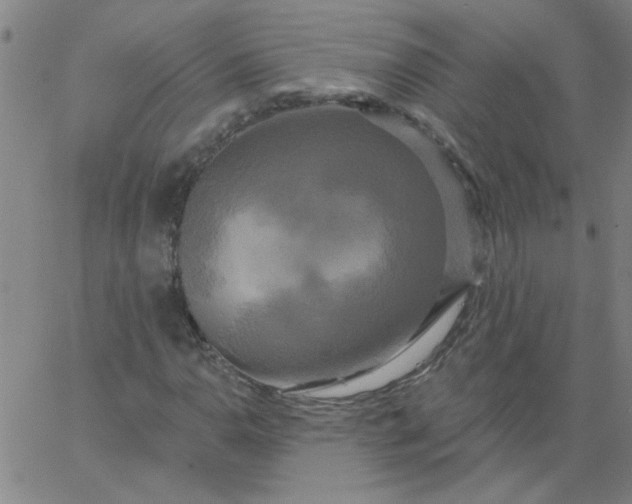 X0000067391110200604131925