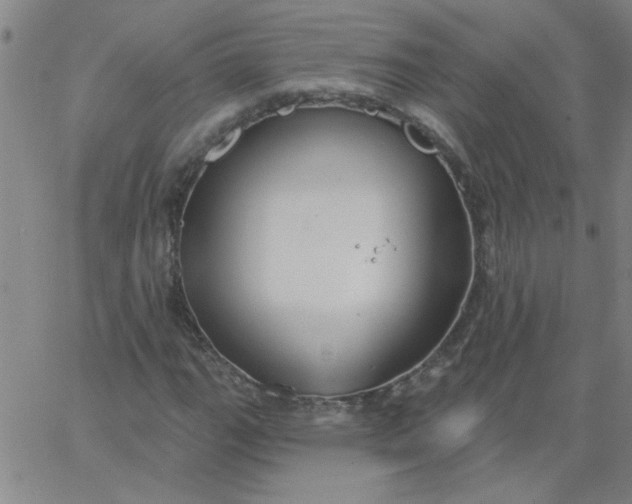 X0000067391111200604131925