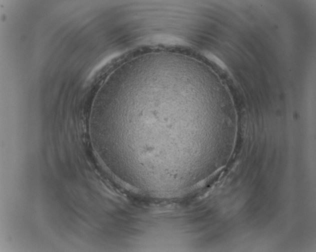 X0000067391112200604131925