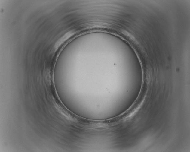 X0000067391113200604131925