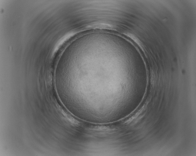 X0000067391115200604131925